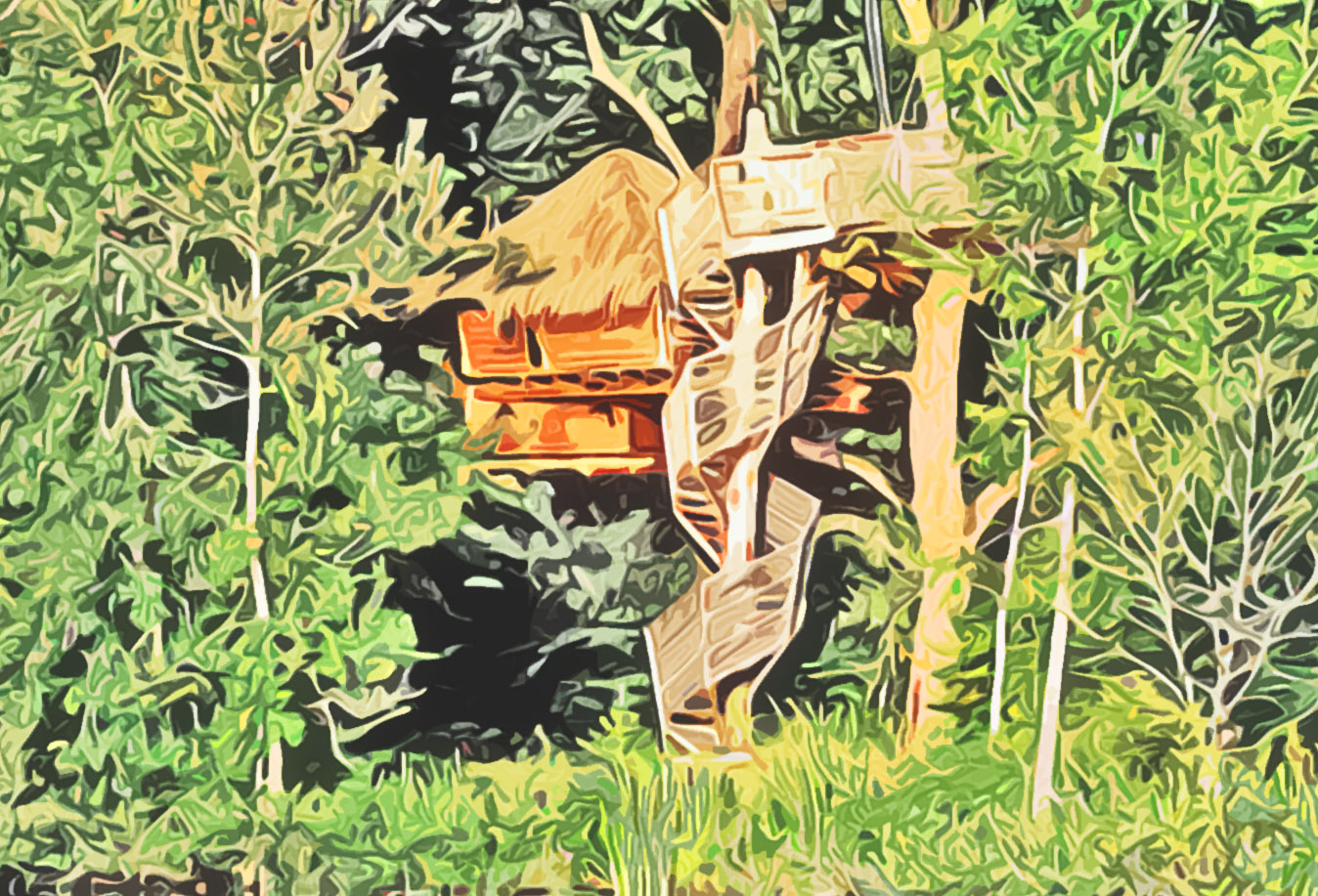 Cabane