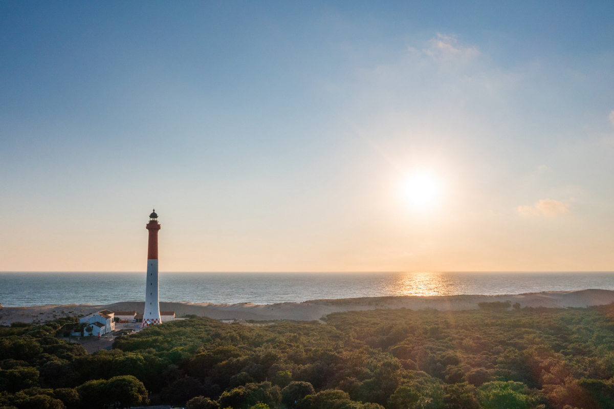 Camping Club MS La Côte Sauvage Poitou-Charentes - Les Mathes-La Palmyre visuel 5/5