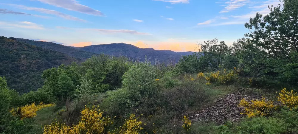 Chateau De L'hom Languedoc-Roussillon - Saumane visuel 6/11 Chateau De L'hom Languedoc-Roussillon - Saumane visuel 6/11