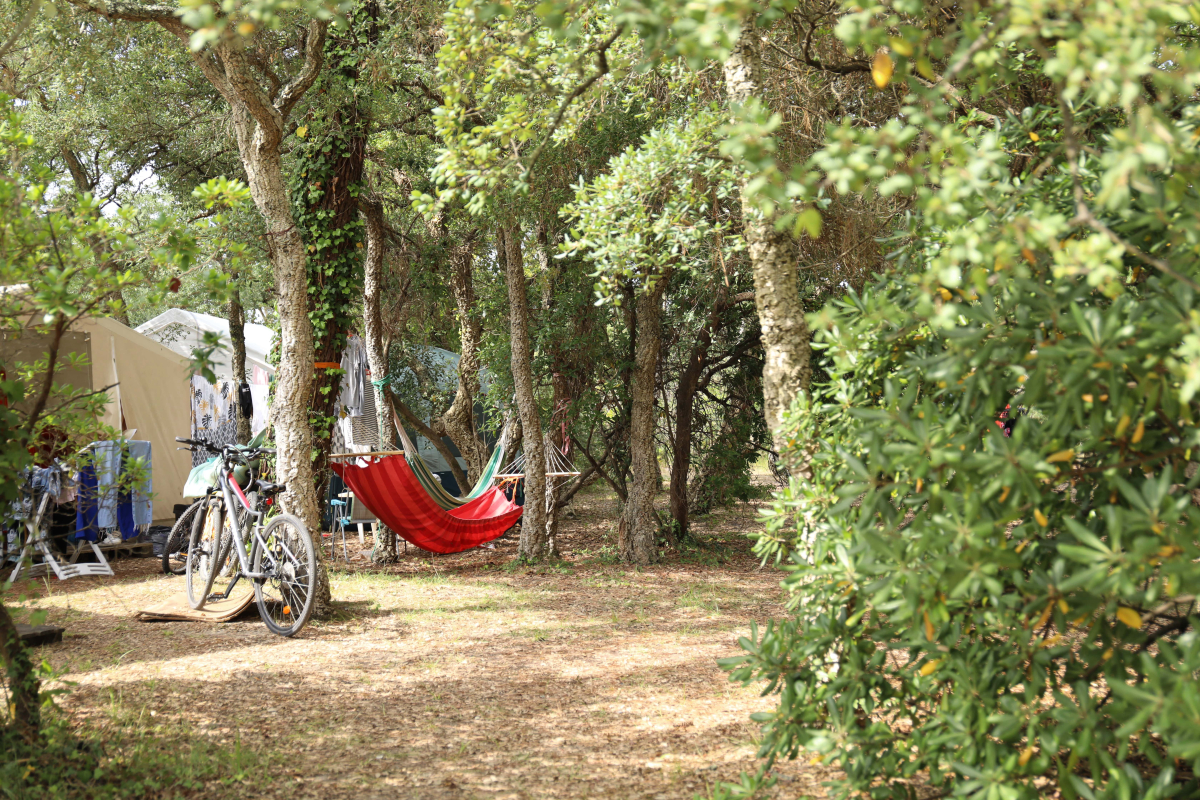 Domaine de Fierbois Aquitaine - Capbreton visuel 14/15