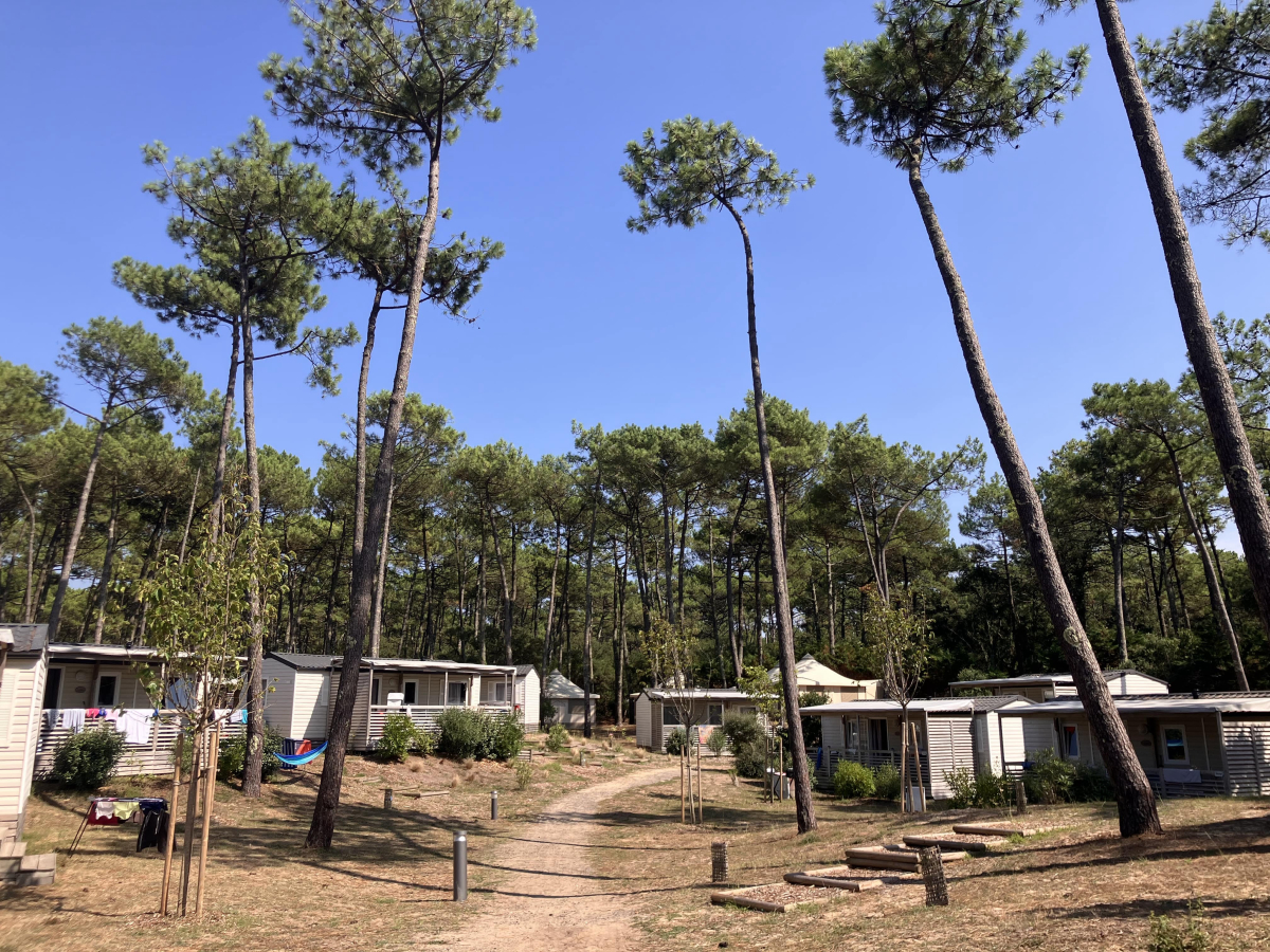 Domaine de Fierbois Aquitaine - Capbreton visuel 1/15