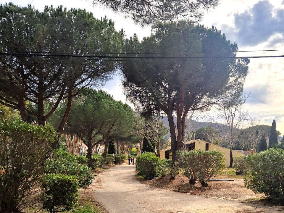 Le Hameau des Pins La moutonne - Provence-Alpes-Côte d'Azur - La Crau visuel 6/7