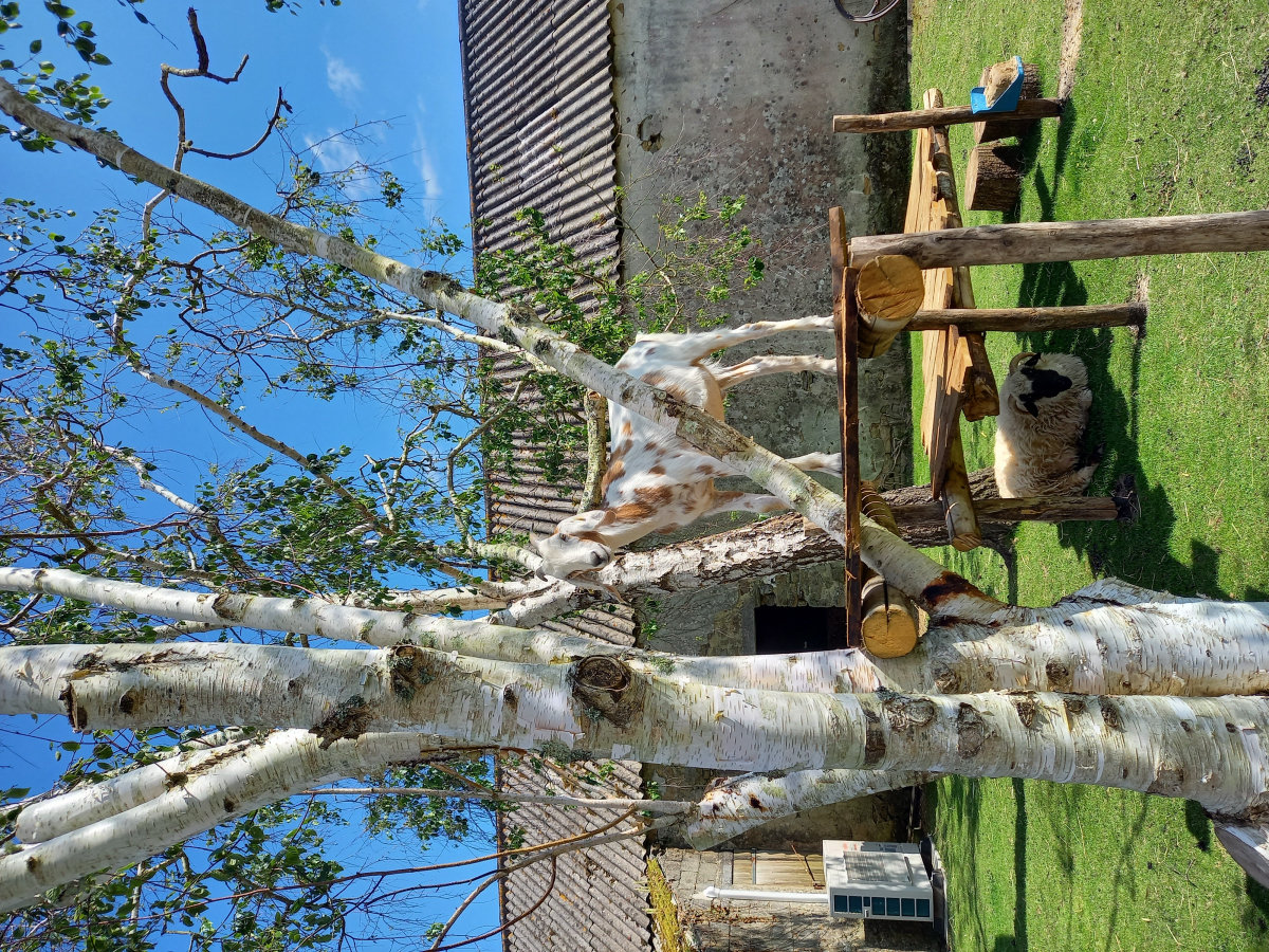 Le Vieux Verger-Ty Noul Brittany - Névez visuel 4/4