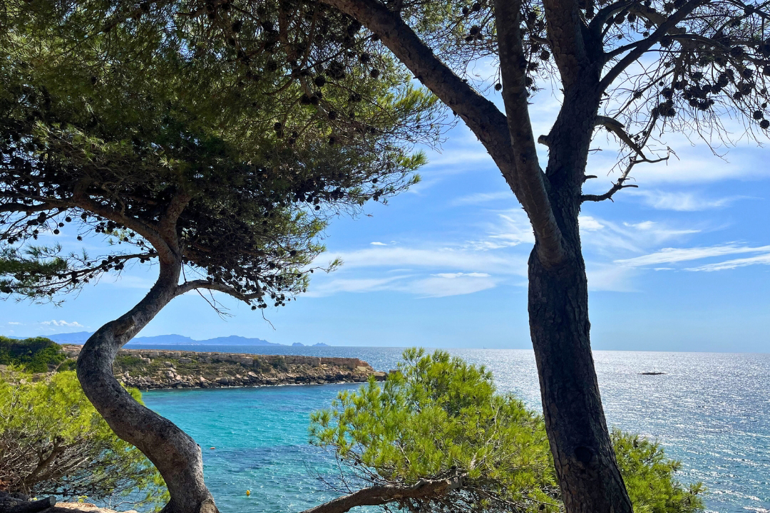 Les Tamaris Provence-Alpes-Côte d'Azur - Martigues visuel 12/15