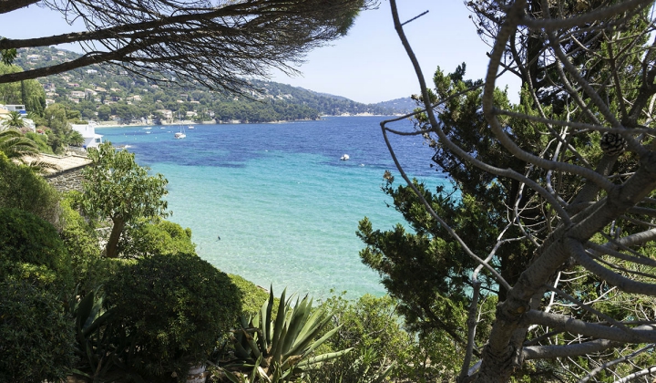 Camping Les Mimosas background-poster