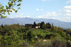 Camping - Troghi - Tuscany - Camping Il Poggetto - Image #7