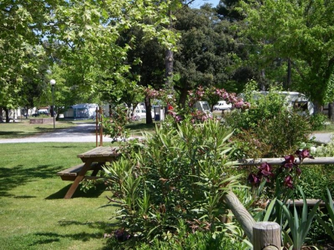 Camping -Les Pins Bleus - Labenne - Aquitaine - France Camping -Les Pins Bleus - Labenne - Aquitaine - France