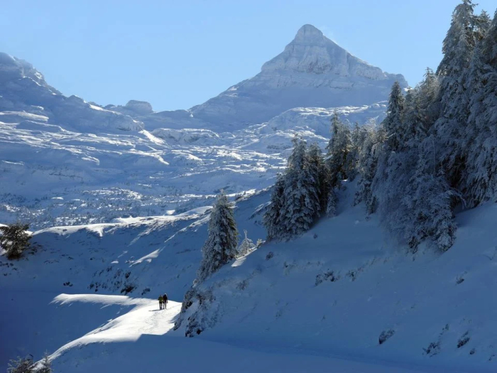 Camping Barétous Pyrénées - Aramits