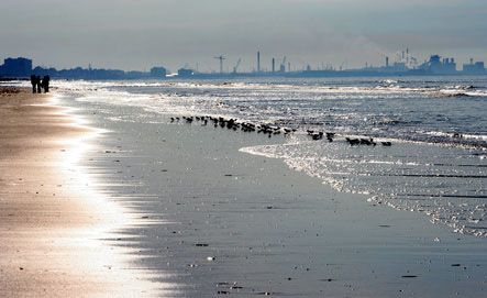 Bray-Dunes - 3 - campings